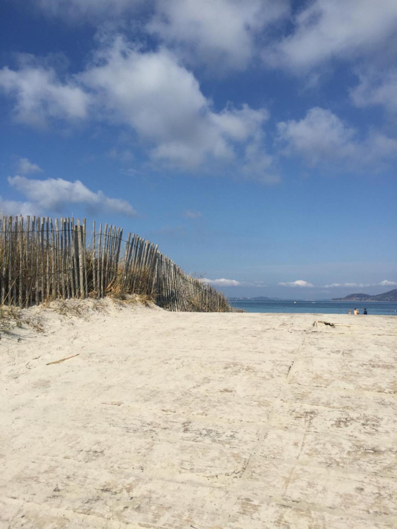 Appartement Les Cigales Rez De Jardin A 10Mn Des Plus Belles Plages Hyères Exteriör bild