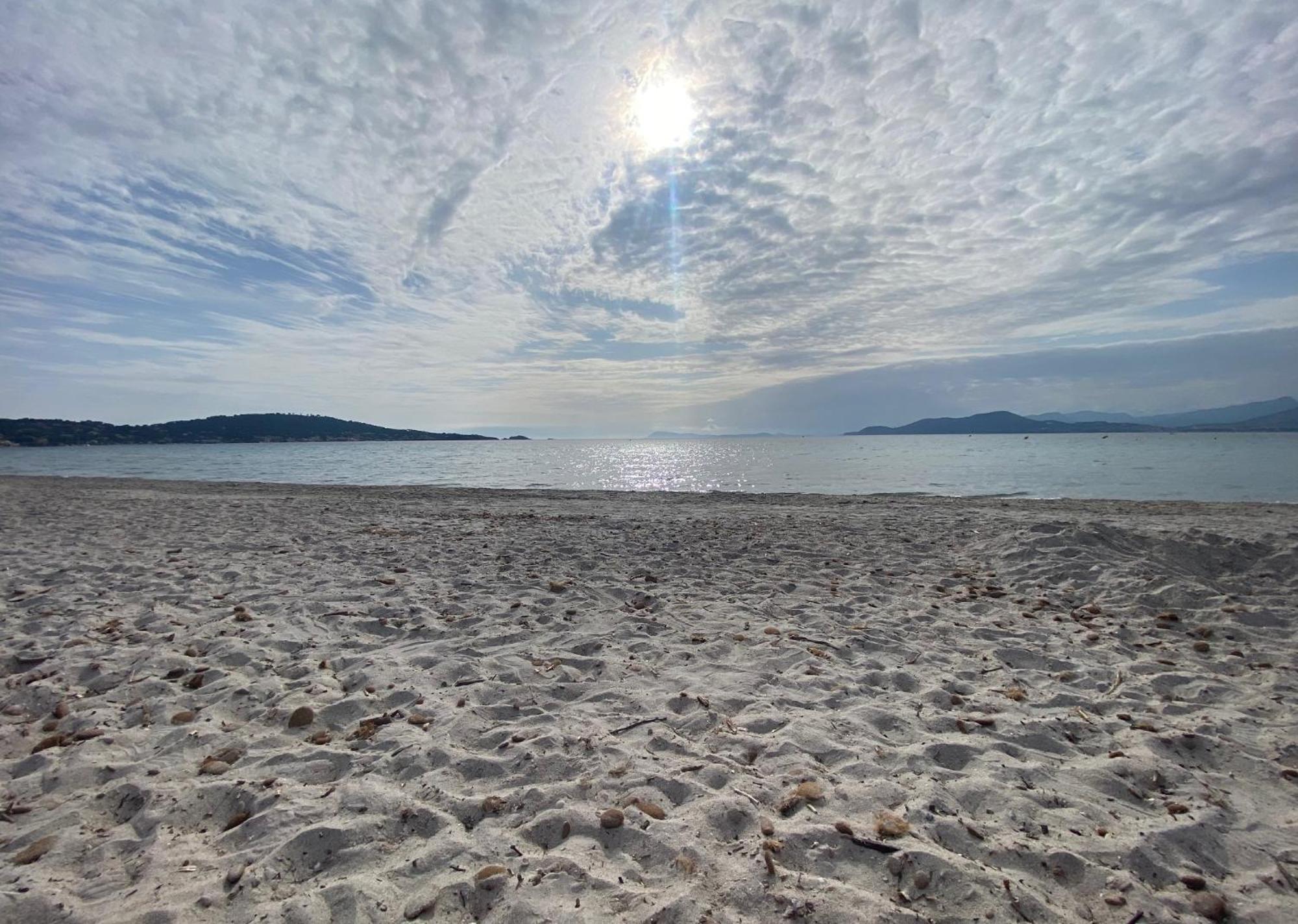Appartement Les Cigales Rez De Jardin A 10Mn Des Plus Belles Plages Hyères Exteriör bild
